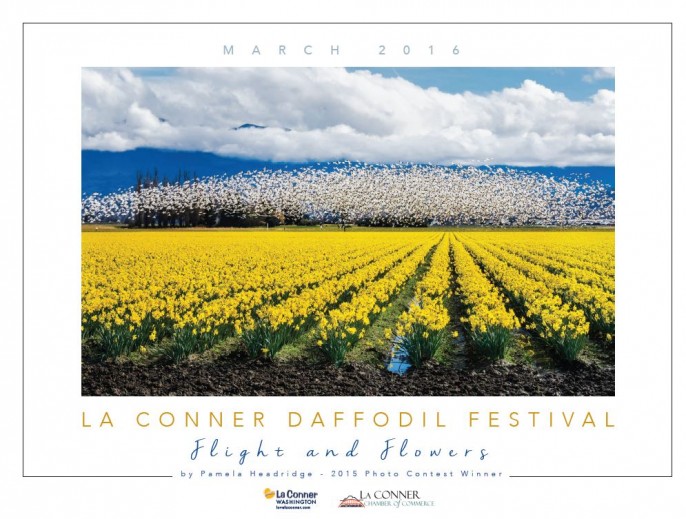 daffodil_festival_2016-686x519