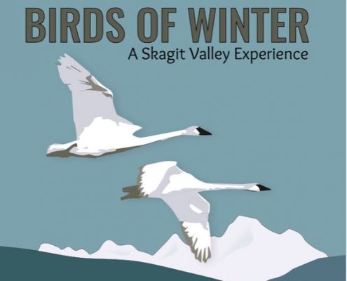 birds_of_winter_skagit