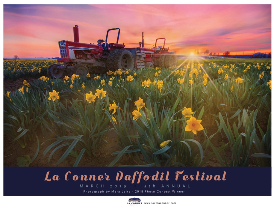 la_conner_daffodil_festival_2019