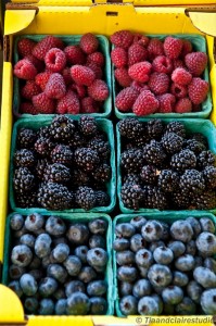 La Conner_Agritourism_Berries
