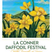 la conner daffodil festival