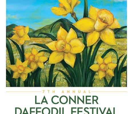 la conner daffodil festival