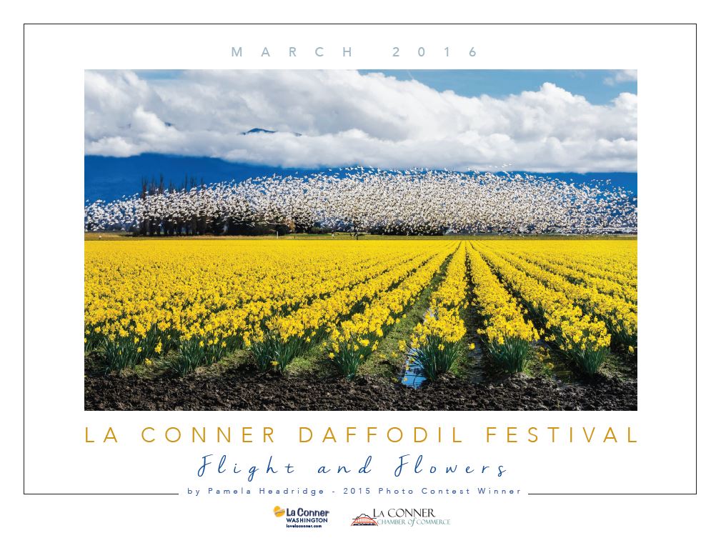 daffodil_festival_2016