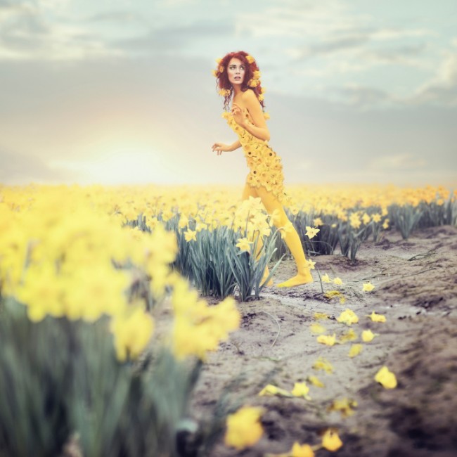 daffodil_photo_contest_fairy