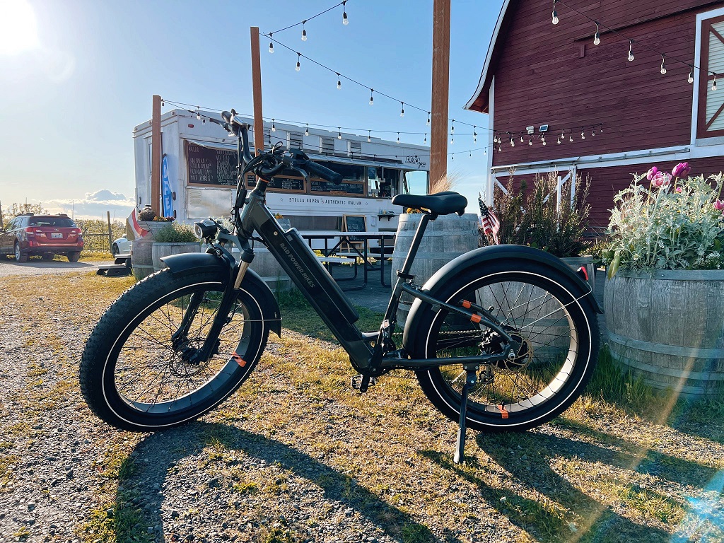 electric bike rentals