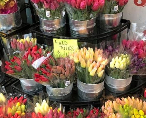 field_tulips_daffodils_pioneer_market
