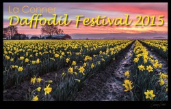 la_conner_daffodil_festival_2015_poster