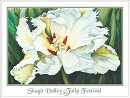 skagit valley tulip festival